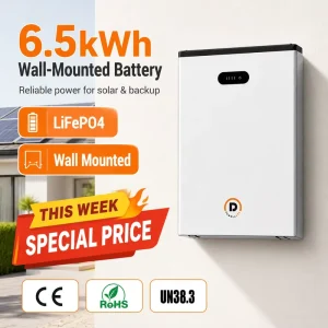 51.2V 6.5kWh LiFePO4 Hybrid Grid Wall Mounted Solar Battery Pack for Home Energy Storage with CAN Communication IP55 8000 Cycles