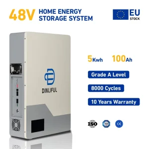 51.2V Wall-Mounted Lithium Iron Phosphate Battery Built-in BMS 100Ah 5kWh Home Photovoltaic Solar Energy Storage Battery