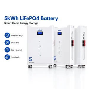51V 100Ah 48V 100Ah Off grid System Home Energy Factory Direct Price WIFI Smart Monitor 5kWh Storage Battery