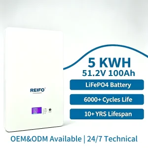5KWh 51.2V 100Ah BMS Grade A Cell Energy Storage System Solar LiFePO4 Battery Generator 6000+Cycle Life Lithium ion Battery Pack