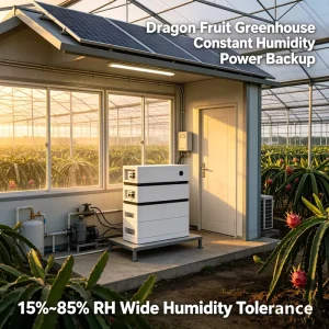 5kW 10kW Solar Power Station Phase 10kW Hybrid On Off Grid Solar System with LiFePO4 Battery