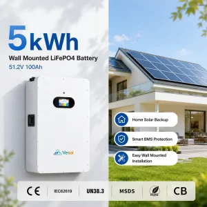 5kWh 10kWh 16kWh Solar Storage Battery 51.2V LiFePO4 Lithium Battery for Home Off Grid Power System OEM ODM
