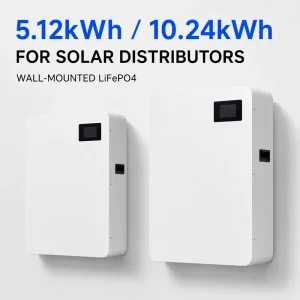 5kWh 10kWh Wall Mounted LiFePO4 Battery 51.2V 100Ah 200Ah Home Solar Storage for Distributors