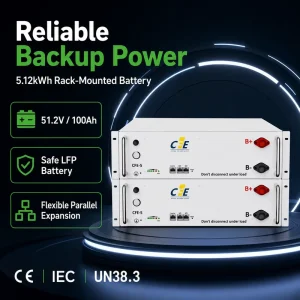 5kWh PV Storage Battery 51.2V 100Ah LiFePO4 6000 Cycles Wall Mounted Solar ESS for off Grid Hybrid Grid System