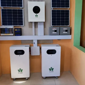 5kwh 10kwh 15kwh Lithium Ion Residential Energy Storage System 51.2V 100ah 200ah 300ah Rechargeable LiFePO4 Solar Battery