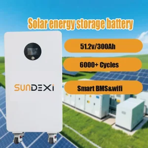 6000 Cycle LiFePO4 Lithium Ion Solar Home Energy Storage Battery 48V 51.2V 100Ah 200Ah 300Ah
