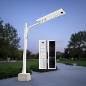 60W 80W 100W Solar Street Light IP66 Die-cast Aluminum All-in-one Solar Street Light with PIR Motion Sensor