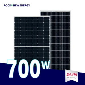 650W/700W/750W Photovoltaic Panel ETFE Monocrystalline Foldable Solar Panels With 220V Solar Power Bank