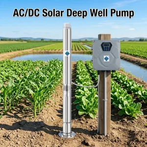 750W AC DC Solar Water Pump 6 Cubic Meter Flow Solar Borehole Pump for Farmland Irrigation