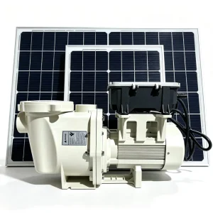 AC DC Hybrid Pump 800W High Efficient Energy Saving 220V Solar Swimming Filter Water Pump Piscina Bomba