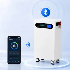 Advanced LED Interaction 51.2V 314Ah 16kWh LiFePO4 Battery Pack With Smart Bluetooth App Control Solar Storage Backup System