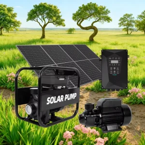 Agricultural Hybrid 1100W Ac Dc Solar Power Pump Solar Water Pump for Farm