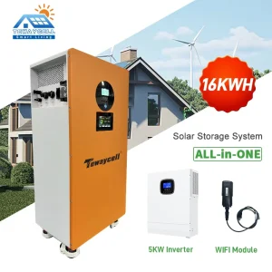 All in One 51.2V 314Ah 16KWh Built in 5KW Inverter Active Balancer JK BMS WIFI Module Solar Home ESS