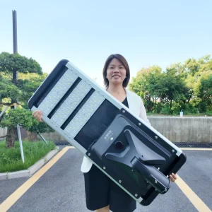 All-in-One Integrated Aluminum LED Solar Street Light IP66 Waterproof Outdoor Solar-Powered Road Lamp