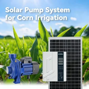 BESUN China Solar Pump Manufacturer Big Flow Surface Solar Water Pumps for Agriculture Irrigation ACDC Solar Surface Water Pumps