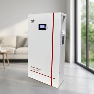 BG01 BMS LiFePO4 51.2V 100Ah Hybrid Grid Wall-Mounted Split Type Home Energy Storage Battery Pack