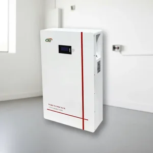 BG01 LiFePO4 51.2V 100Ah 5.12kWh 200 300A Lithium Home Energy Storage System with CAN Communication Wall Mounted