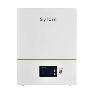 BMS Inside Solar 150Ah 300Ah Lithium Ion Battery Box LFP 200Ah 400Ah 800Ah 100Ah 48V LiFePO4 Battery with Inverter