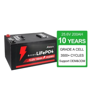 Backup LiFePO4 Battery 25.6V 100Ah Lithium Batteries Compact BMS Solar Storage for Shops Short Trip Business RV Power