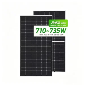 Bifacial Mono Solar Panels 550W 600W 700W 720W Topcon Tiger Neo N Type Solar Panel