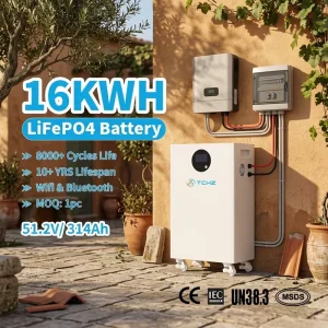 CE IEC 16kWh 314Ah LiFePO4 Solar Battery Pack with CAN2.0 RS485 Communication Home Use Energy Storage System 8000+ Cycles