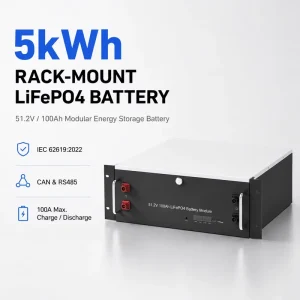 CE IEC62619 5kWh 10kWh 51.2V 100Ah 200Ah Rack Mount LiFePO4 Solar Battery Energy Storage for Distributors