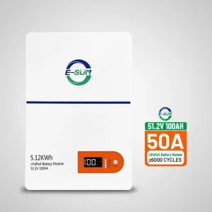 CE IP20 51.2V Wall-Mounted LiFePO4 Battery 100Ah 200Ah 300Ah Lithium Pack 5kWh 10kWh 15kWh for Home Energy Storage