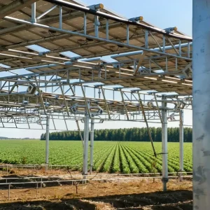 Crop Friendly Farmland Hot Dip Galvanized Steel Solar PV Mount Bracket for Agricultural Solar System