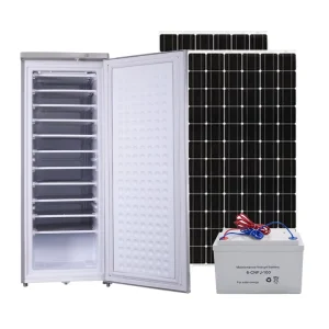 DC 24V Commercial Solar Panel Gel Battery 70kg Per 24 Hours Solar Ice Block Machine 198L 10 Layer Solar Freezer for Nigeria