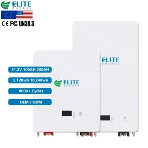 Deep Cycle 8000 Times LiFePO4 51.2V 100Ah 200Ah Lithium Solar Hybrid Grid Wall-Mounted Battery 5kWh 10kWh Power Wall