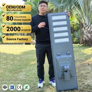 Die-Casting Aluminum Lithium Battery Waterproof All-in-One Outdoor LED Solar Street Light 200W 300W 400W 500W