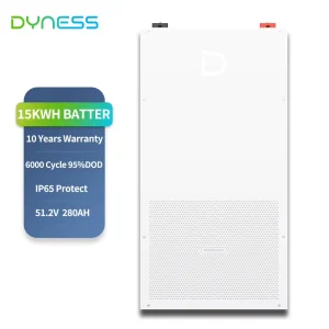 Dyness 51.2V 300Ah Wall Mounted 15KWh Lithium Ion Batteries with Smart BMS Fire Protection for Home Solar Energy Storage System
