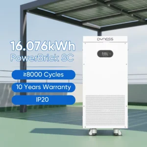Dyness 51.2V 314Ah 16kWh LiFePO4 Battery System with BMS Real Time Monitoring 10 Year Warranty for Home Solar Storage