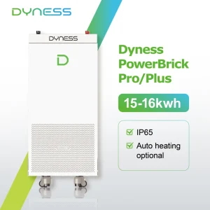 Dyness PowerBrick Plus 51.2V 314Ah 16kWh LiFePO4 Battery All in One Home Energy Storage Solution