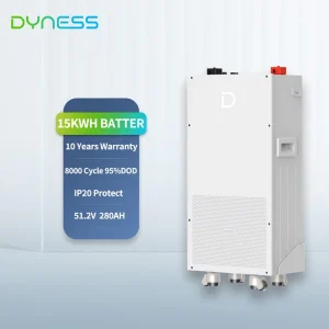 Dyness Powerbrick 15 Kva Lithium Battery Home Energy Storage 15kwh Solar System Wall Mount Inverter Lithium Ion Battery Pack