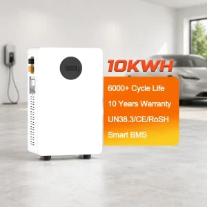E Nice Split CAN Mobile Solar 10KWH LiFePO4 51.2V 5 10kW Wall Mounted Battery Pack for Hybrid Home Storage 6000+ Cycles