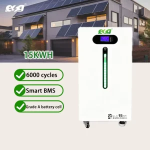 ESG 15kWh Lithium Iron Phosphate Battery 51.2V 300Ah Home Solar Energy Storage System BMS Battery CAN WIFI RS485