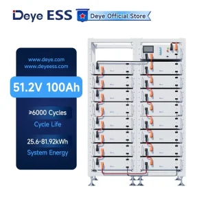 ESS BOS G Pro Built in BMS 51.2V 100Ah LiFePO4 Solar Storage Lithium Battery Cell