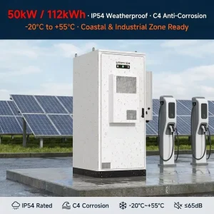 ESS IP65 Plug & Play Scalable 1MW Solar Storage System AI EMS Inverter 30kW 50kW 60kWh 100kWh 50KWH 200KWH HV LiFePO4 Battery
