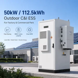 ESS Solar Lithium Lifepo4 Battery 60Kwh 360Kwh 600Kwh Solar Energy Battery Storage System Outdoor Cabinet