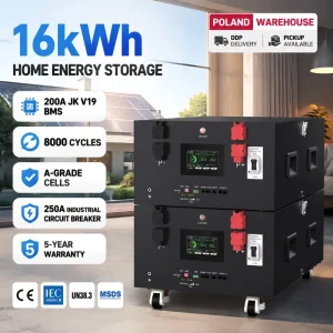 EU Stock JK V19 BMS 16kWh Lithium Battery LiFePO4 8000 Cycles 48V 51.2V 314Ah Lithium Battery for Home Solar Energy Off Grid