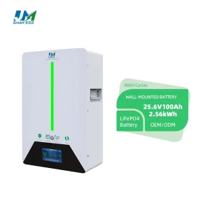Factory Customized Split CAN Communication 24V 100Ah LiFePO4 Lithium Battery Pack 2.56kWh Solar Energy Storage Battery