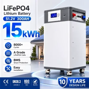 Factory Direct Floor-Standing LiFePO4 Battery 51.2V 200Ah 300Ah for Home Energy Storage
