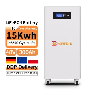 Floor Home Lifepo4 Battery 51.2v 5kwh 10kwh 15kwh Lithium Ion Batteries Solar Power Storage Wall Mount System LFP With BMS