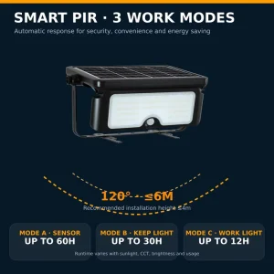Grade A+ Mono Solar Panel 22.5% Conversion 1600lm Tempered Glass Long Lifespan IP65 Solar LED Flood Lamp for Garden
