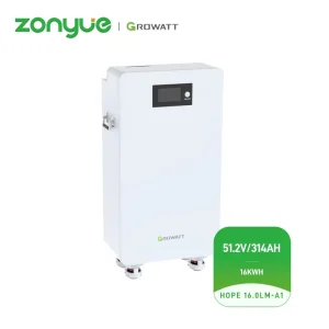 Growatt 51.2V 314AH 16KWH Battery HOPE 16.0LM A1 Solar Hybrid Off grid System Home Energy Storage System Residential