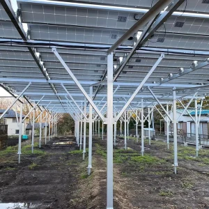High Efficiency 1mw 30kw Agriculture Photovoltaic Solar System Mounting Solar Panel For Solar Farm System