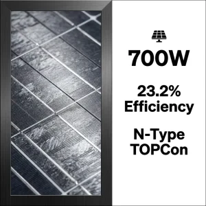 High Efficiency 700W N Type TOPCon Bifacial Solar Panel 182mm Half Cell Mono PV Module for Home Solar Power System