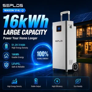 High Voltage Energy Storage Battery 15KWh16kWh LiFePO4 Battery 48V 51.2V 314Ah Solar Storage System With Long Lifespan