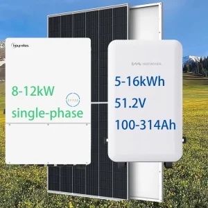 Hybrid Grid Home Energy Storage System Kit with Inverter and Battery Photovoltaic Panels Solar Power System
